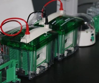 實驗交給威斯騰，科研從此無憂——腺病毒實驗技術服務詳解